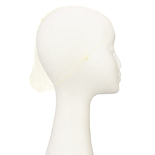 Load image into Gallery viewer, Dress Me Up Fine Hair Net Blonde 2 Pack