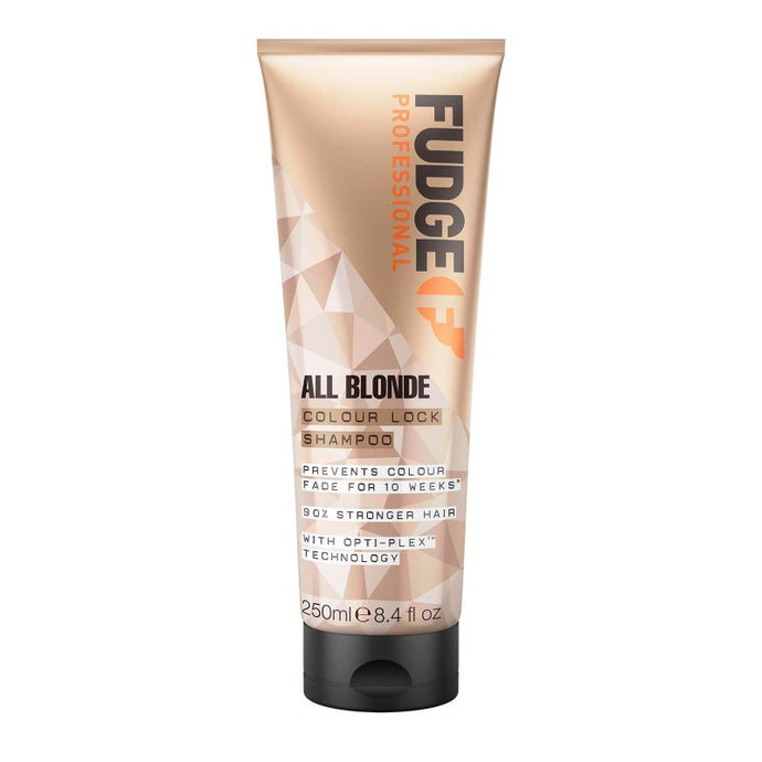 Fudge Colour Lock Shamp 250ml