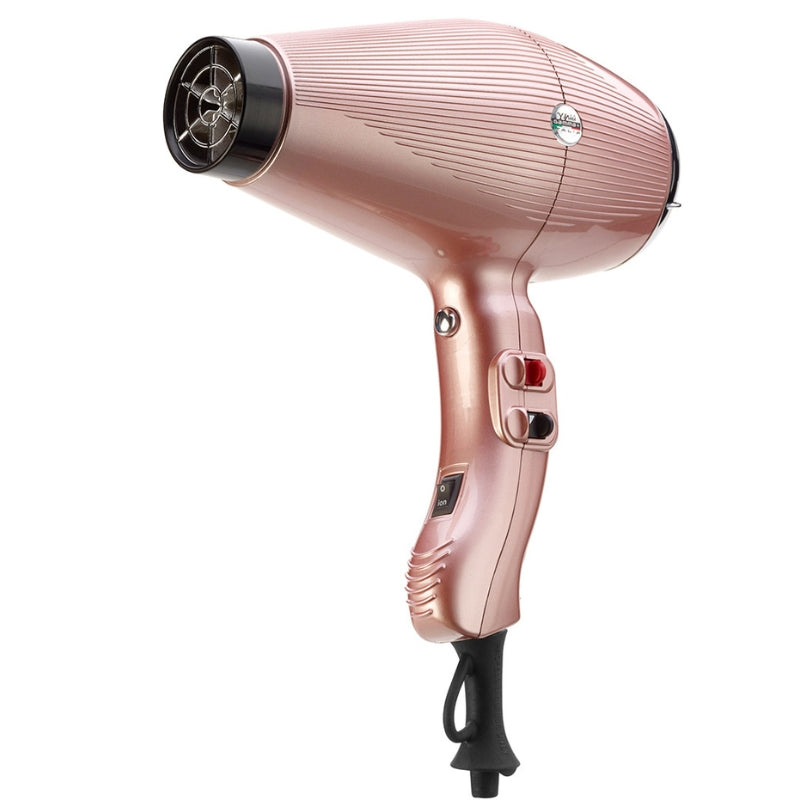 Gamma+ Aria Dual Ionic Rose Dryer