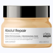 Load image into Gallery viewer, Loreal Abs Rep Masque 250ml