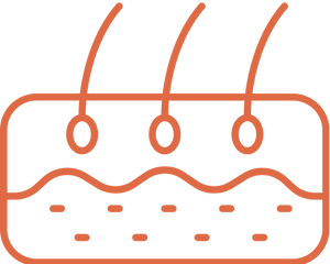 Conditioner &<br>Treatments
