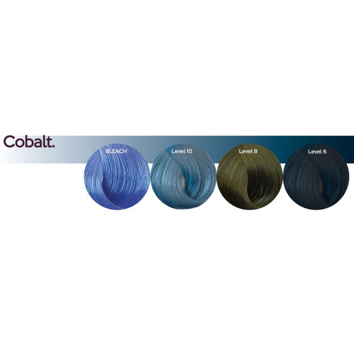 My Colour Cobalt Shamp 250ml